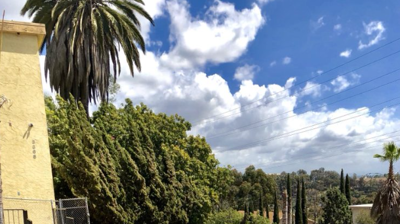 TL Premier Plumbing Past Projects Photo